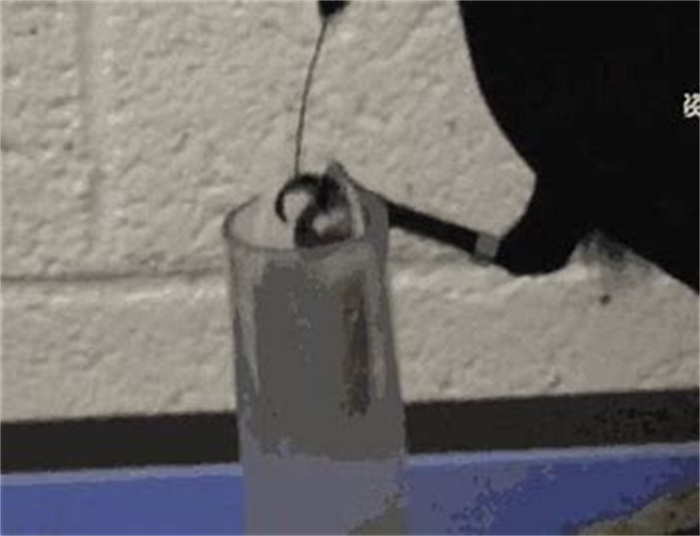 红毛猩猩智商相当人类几岁__猩猩智商相当于人几岁