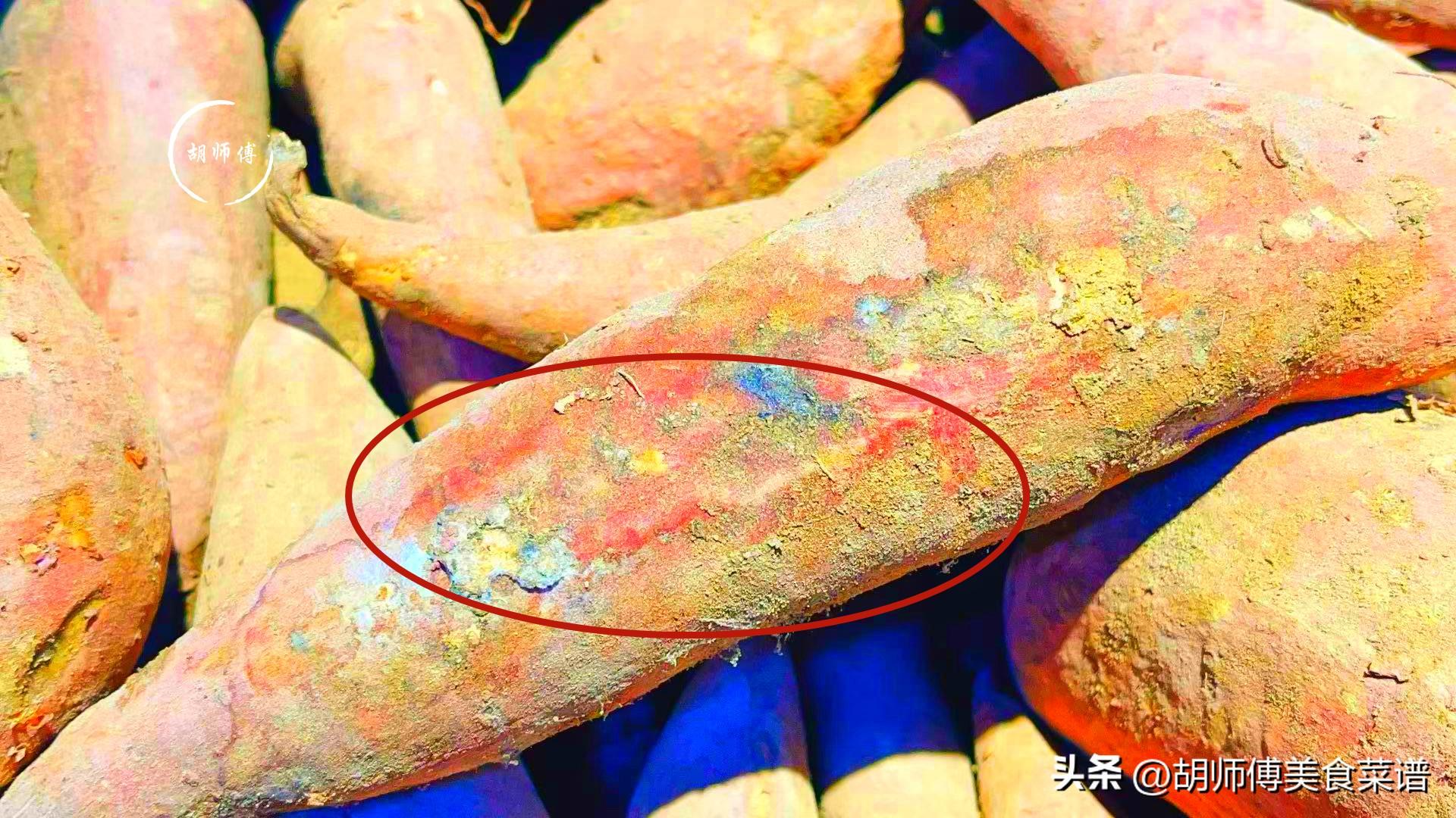 吃红薯的不良反应__吃红薯容易失眠吗