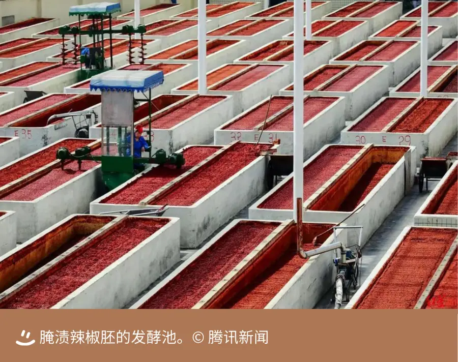 发酵床养鸡技术__啤酒上发酵和下发酵